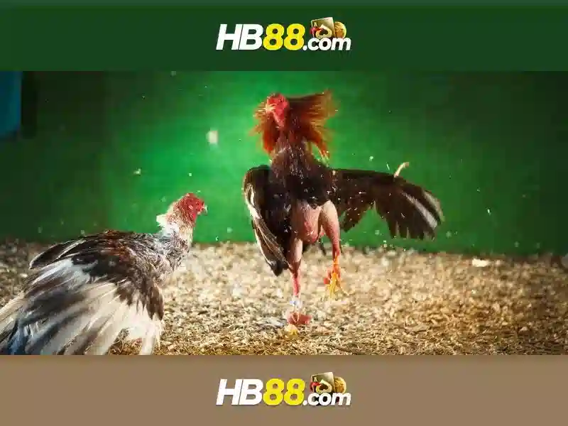 Đăng ký và trải nghiệm người chơi