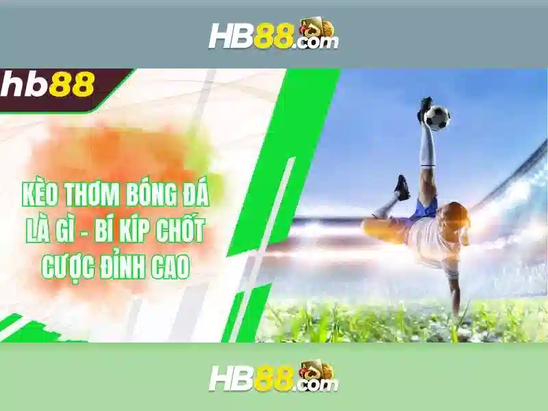 Máy khoan từ, khoan bàn, taro tự động, đột lỗ thủy lực, taro cần ...