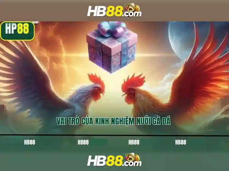 HB88 là gì? Tổng quan về nền tảng cược trực tuyến