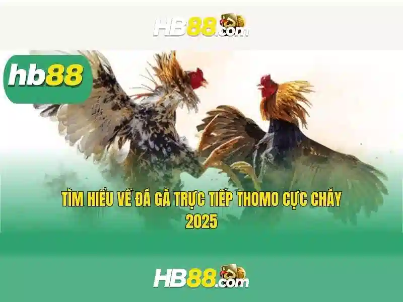 Tổng quan chủ đề và giá trị cốt lõi
