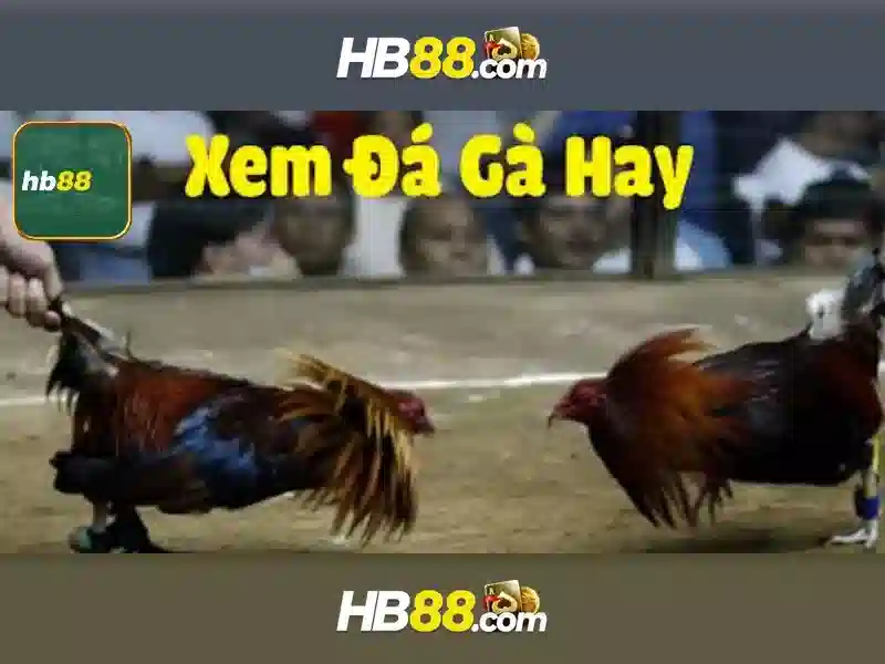 hb88 tang 100k – Trải nghiệm người dùng và phản hồi từ cộng đồng