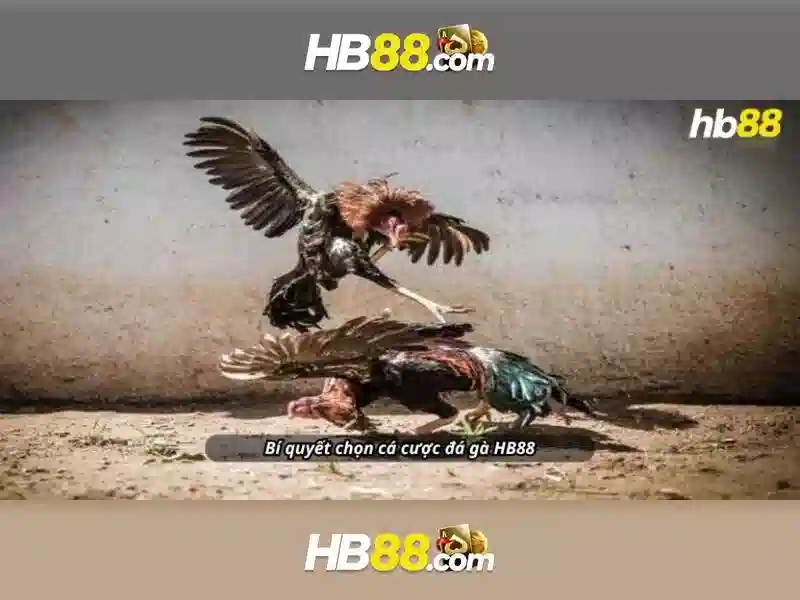 Giới thiệu về hb88