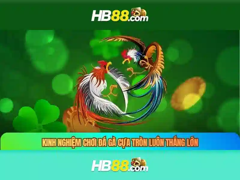 HB88: Tổng quan về nền tảng và các trò chơi