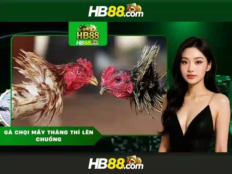 HB88: Nền tảng cược trực tuyến hàng đầu