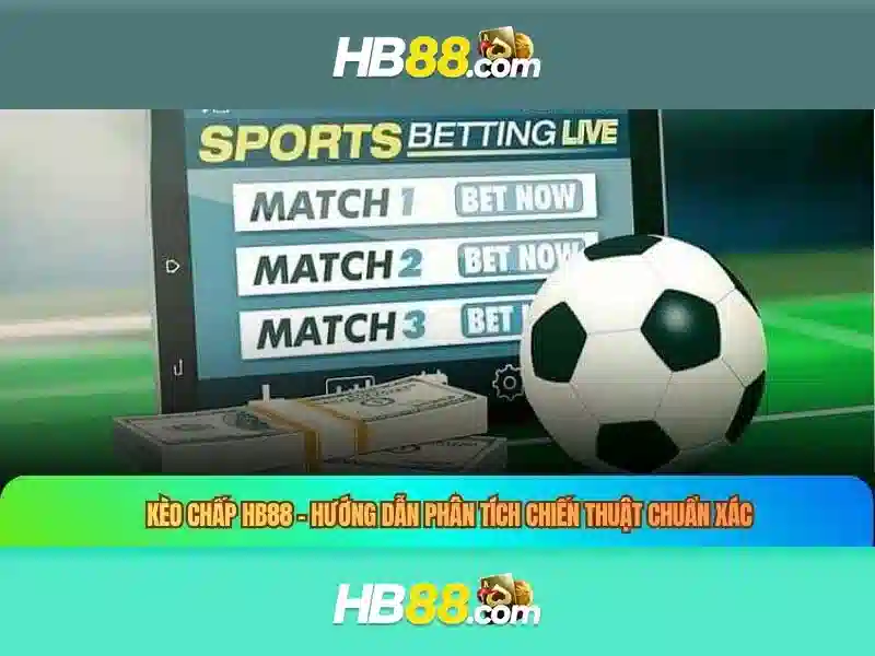 HB88: Đánh giá nền tảng cược trực tuyến và hướng dẫn cơ bản