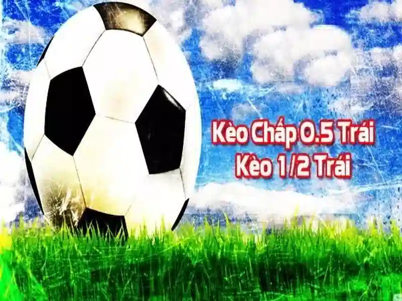 HB88 là gì và thông tin cần biết