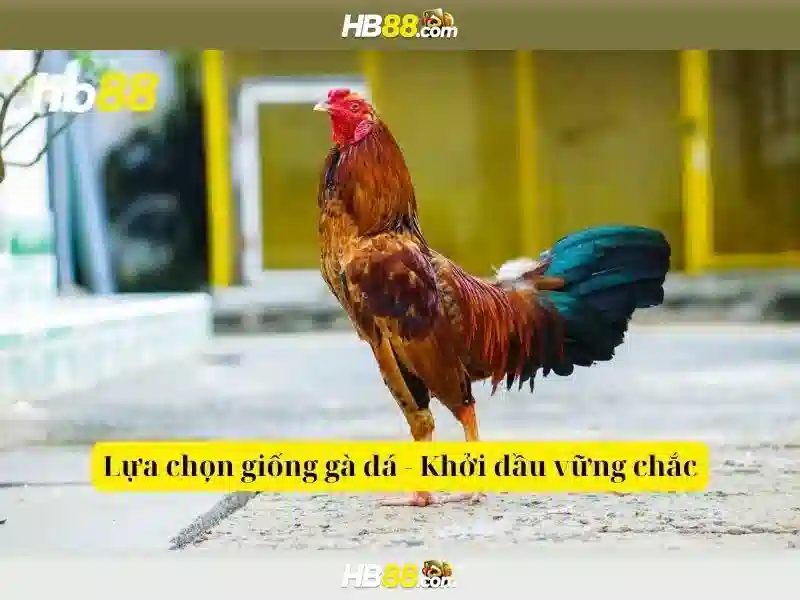 An toàn và giấy phép của hb88