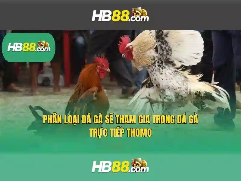 Các tính năng nổi bật của HB88