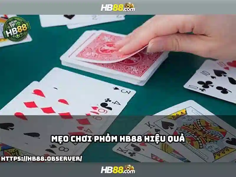 An toàn và pháp lý khi tham gia