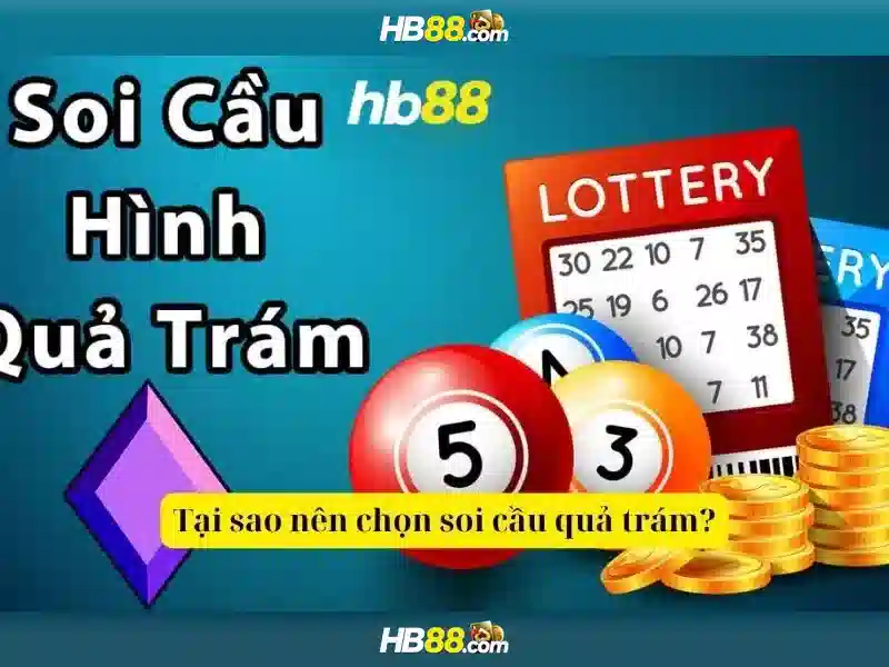 Trải nghiệm người dùng và phản hồi cộng đồng