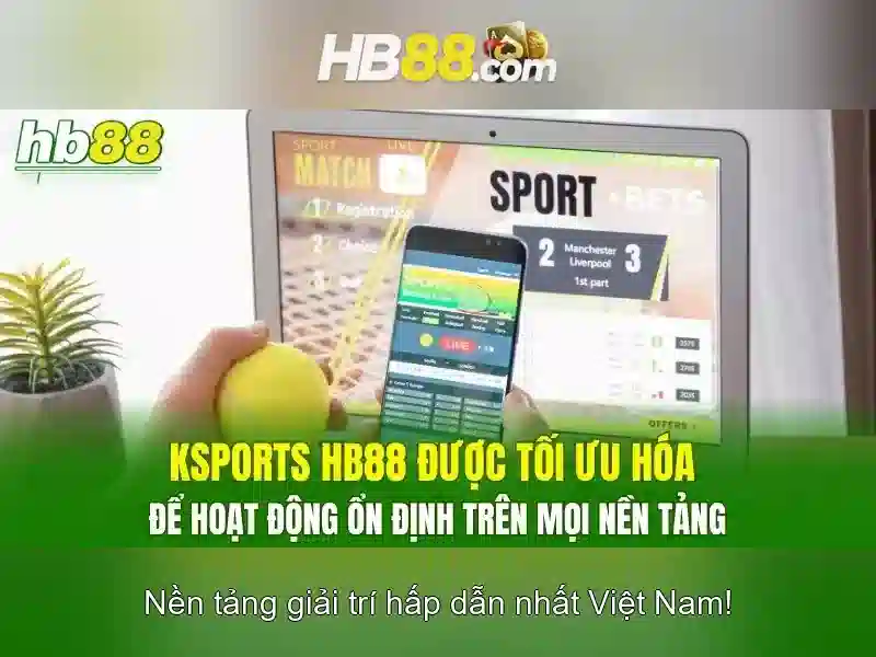 Kết luận và mẹo chơi có trách nhiệm