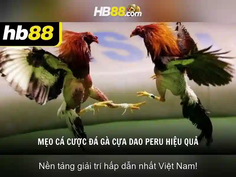 hb88: Nền tảng giải trí trực tuyến