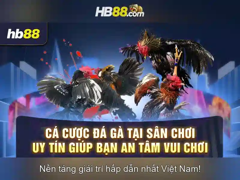 Cược thể thao và casino trực tuyến