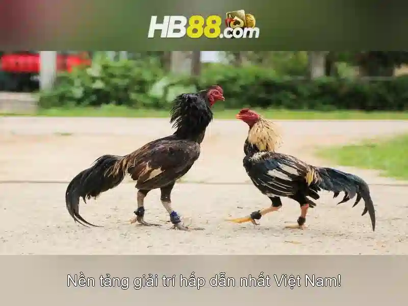 Các trò chơi có tại HB88