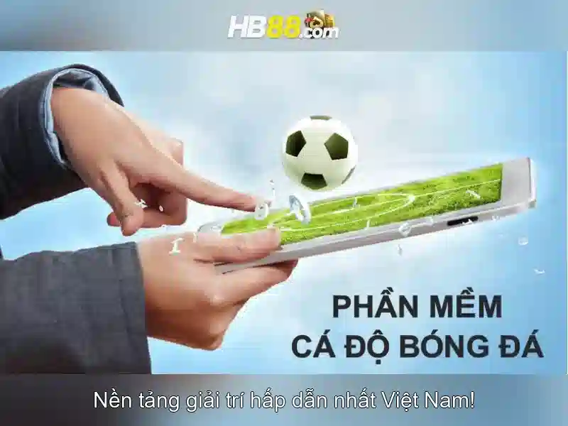 Khuyến mãi và chương trình thưởng