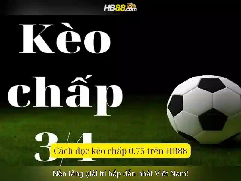hb88 freebet và hb88 top – Trải nghiệm và đánh giá uy tín