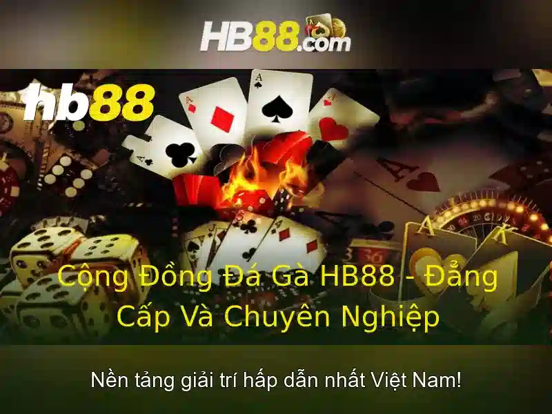 HB88: Nền tảng cược trực tuyến an toàn và tiện ích