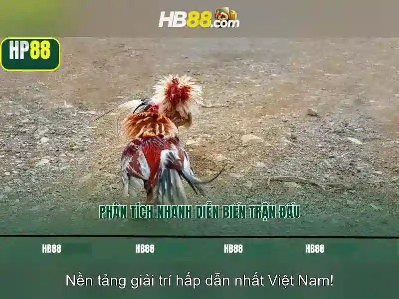 Hỗ trợ người dùng